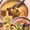 덕산 은행나무길 | 아산 은행나무길 국수집 내돈내산후기 메뉴 주차 영업시간