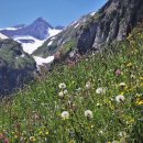 세인트힐요양병원 이미지