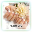 선릉 네일 세레브네일 에어그라데이션 후기