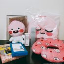두발로슈즈마트 | 7월 마지막주/생일 주간, 끝이 보이지 않는 미친덕질