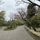 유락원2 티스토리