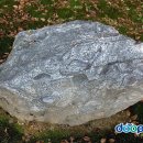 상주 운평리 구상화강암 이미지