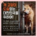 *^^8월 15일(수) 개.고양이 도살없는 대한민국을 위한 대국민집회 이미지