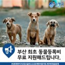 삼성종합동물병원 이미지