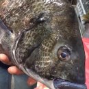 남해꽃게탕 이미지