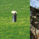 청림가든정금자할매집 이미지