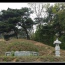 신한장