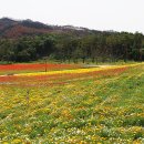 빛(꽃)의정원 이미지