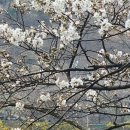 돌바위펜션민박 이미지