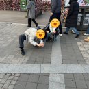 보배펫 | 그저 바라본 것들(26.01-08)
