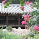 현내리 도원정사 이미지