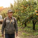 박광수농장 이미지