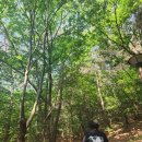 양철북곱창청주 | 2025 06 일상