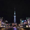 21 | 나고야 사카에 오아시스21 후기 야경 명소와 지브리,해리포터샵,스타벅스까지