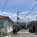 이호웨이브 이미지