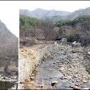 백아산 토종 네이버블로그