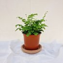 이레가든 이미지