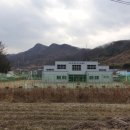 군북전천후게이트볼장 이미지