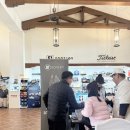 골든베이 | 아마추어 240명 중에 과연 몇등?도지골프 골든베이cc 라운드 후기