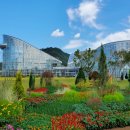 [야간]웰빙생활요리 이미지