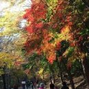 수도권단풍명소소요산 가을 단풍을 만나다 소요산 단풍축제 이미지