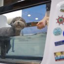 이지동물병원 이미지