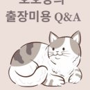 호호냥(Hohonyang) 이미지