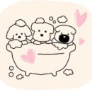 웰리스 동물병원 이미지