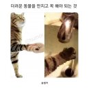 하이얀세탁소 | 8-4. 언제 더웠냐는 듯이 제법 뻔뻔하게 가을이 온거야
