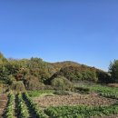 땅나와부동산중개 이미지