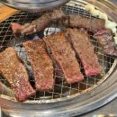 조동천 | 가성비 좋은 소고기집 현방오백소갈비살 후기