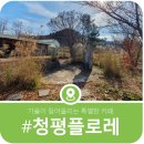 에덴목장 | 가을이 가장 아름다운 카페, 청평 플로레 늦가을 풍경