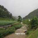 운교천 이미지