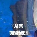 해양치유시티투어 네이버블로그