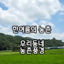 온직3리 마을회관 | 청양군 남양면 우리동네 한여름 시골 농촌풍경