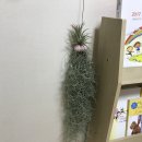 새동그라미어린이집 이미지