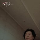 춘자46