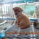 신천로 이미지