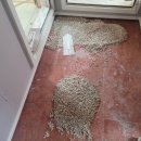 맑은소리음악교습소 이미지