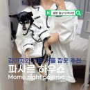 옷사르 - 서구 도산로349번길 66 | 강아지와 사람 커플 잠옷 추천 파사르하우스 파자마 솔직 후기