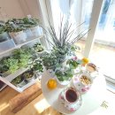 머리풍경 이미지