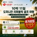 💎💎신세계여행사💎8/12까지.에어캐나다 20%세일특가!💎대한항공$1603~💎지중해$3500인솔자동행💎416536500 이미지