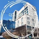 봄날오다 | 대구 퀸벨호텔 : 웨딩 예식장 방문 및 뷔페 정보 및 후기 (웨딩홀, 주차, 셔틀버스 등)