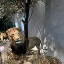 전곡선사박물관 티스토리