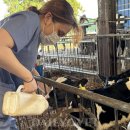 임상 농장 이미지