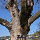 우도주차장 이미지