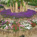 라벤더하우스 이미지