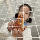 우리끼리키즈카페스포츠마을광교