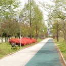 아임메디 이미지