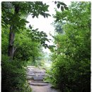 깊은산속 옹달샘 이미지